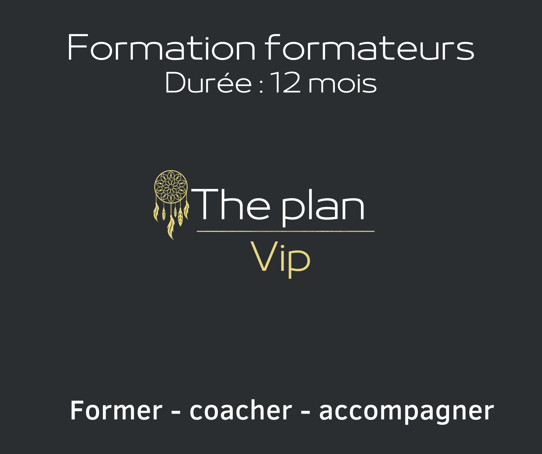 Vip formateur (à venir)